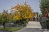 6 Milfay Avenue, Kew, Vic 3101-Image