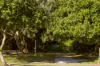 6 Minkara Street, Warana, Qld 4575-Image