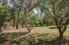 6 Mongan Court, Baranduda, Vic 3691-Image