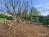 6 Montagu Crescent, New Norfolk, Tas 7140-Image
