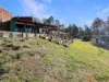 6 Moonyah Court, Cooma, NSW 2630-Image