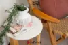 6 Mopsa Way, Coolbellup, WA 6163-Image