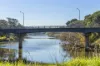 6 Morven Court, Highton, Vic 3216-Image