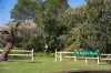 6 Nelson Parade, Hunters Hill, NSW 2110-Image