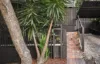 6 Normanby Terrace, Kelvin Grove, Qld 4059-Image