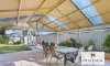 6 Orchid Drive, Glen Iris, WA 6230-Image