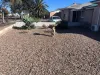 6 Paltridge Street, Whyalla Norrie, SA 5608-Image