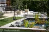 6 Park Lane, Orange, NSW 2800-Image