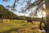 6 Paternoster Road, Emerald, Vic 3782-Image