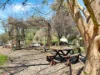 6 Patterson Avenue, Young, NSW 2594-Image