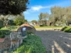 6 Patterson Avenue, Young, NSW 2594-Image