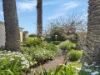 6 Patterson Avenue, Young, NSW 2594-Image