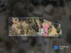6 Peake Court, Ascot, Vic 3551-Image