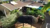 6 Pecten Way, South Hedland, WA 6722
