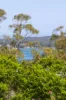 6 Percival Road, Caringbah South, NSW 2229-Image