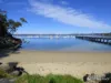 6 Phillipps Street, Eden, NSW 2551-Image