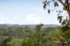 6 Price Court, Diamond Creek, Vic 3089-Image