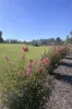 6 Quigley's Road, Wannon, Vic 3301-Image