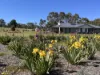 6 Quigley's Road, Wannon, Vic 3301-Image