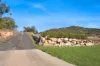 6 Rampadells Rise, Gunnedah, NSW 2380-Image