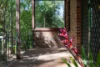 6 Raphael Drive, Hornsby Heights, NSW 2077-Image