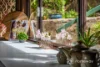 6 Raphael Drive, Hornsby Heights, NSW 2077-Image