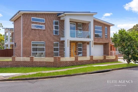 6 Raupach Street, Dean Park, NSW 2761