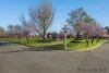 6 Raymond Walk, Toorak Gardens, SA 5065-Image