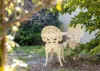 6 Richardson Street, Old Bar, NSW 2430-Image