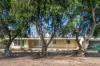 6 Riverview Drive, Paringa, SA 5340