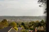 6 Roderic Crt, Mount Lofty, Qld 4350-Image