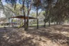 6 Rogers Crescent, Paralowie, SA 5108-Image