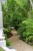 6 Rottnest Court, Elanora, Qld 4221-Image