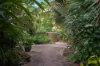 6 Rowe Place, Rapid Creek, NT 0810-Image