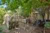 6 Ruth Court, Modbury, SA 5092-Image