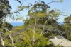 6 Sanctuary Crescent, Currumbin, Qld 4223-Image