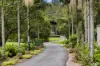 6 Sawreys Road, Forest Glen, Qld 4556-Image