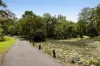 6 Sawreys Road, Forest Glen, Qld 4556-Image