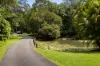 6 Sawreys Road, Forest Glen, Qld 4556-Image