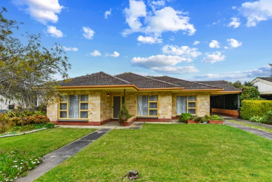 6 Science Avenue, Millicent, SA 5280
