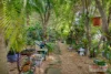 6 Seaforth Court, Buderim, Qld 4556-Image