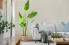6 Seeck Court, Old Reynella, SA 5161-Image