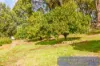 6 Smith Street, Bridgetown, WA 6255-Image