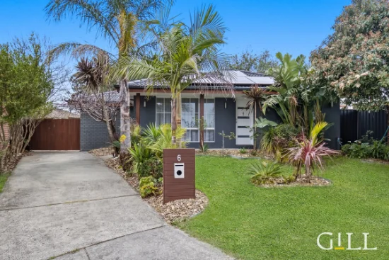 6 Souhail Court, Berwick, Vic 3806