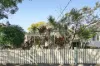 6 Spencer Street, Summer Hill, NSW 2130