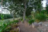6 St Ives Court, Karana Downs, Qld 4306-Image
