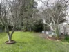6 St Leonards Road, Healesville, Vic 3777-Image