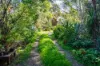 6 Stitt Street, Walla Walla, NSW 2659-Image