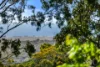 6 Sugarloaf Road, Chandlers Hill, SA 5159-Image