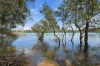 6 Sunset Place, Urunga, NSW 2455-Image